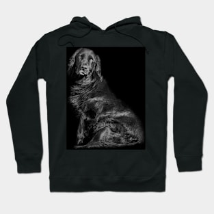 Mans best friend Hoodie